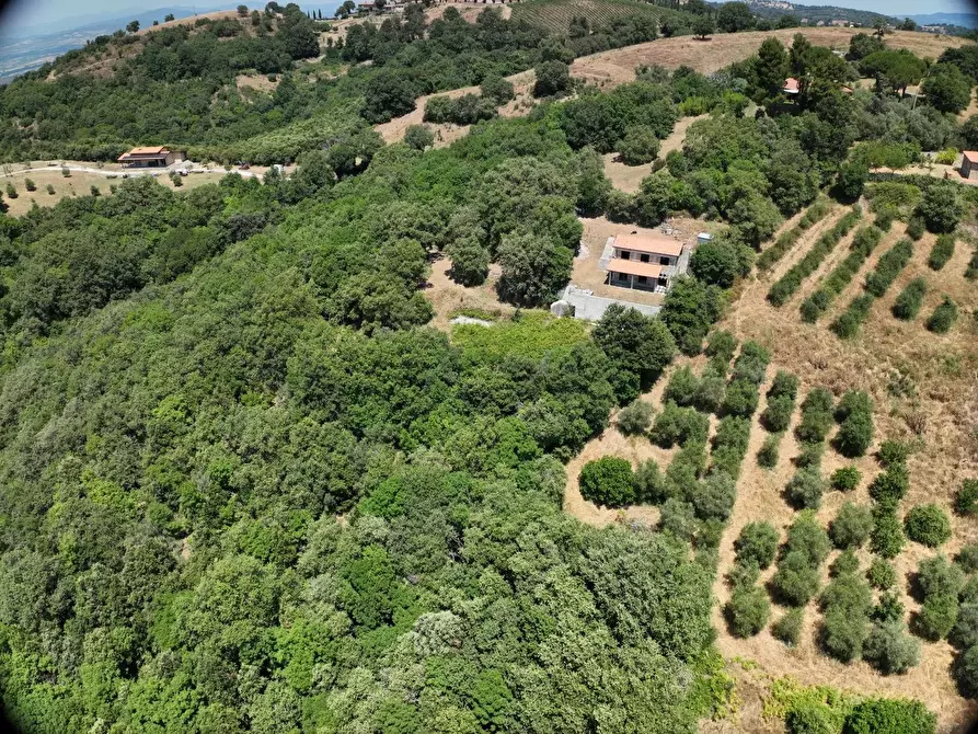Immagine 1 di Villa in vendita  a Scansano