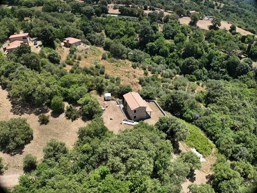 Immagine 13 di Villa in vendita  a Scansano