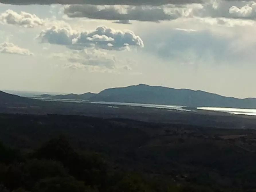 Immagine 4 di Villa in vendita  a Scansano