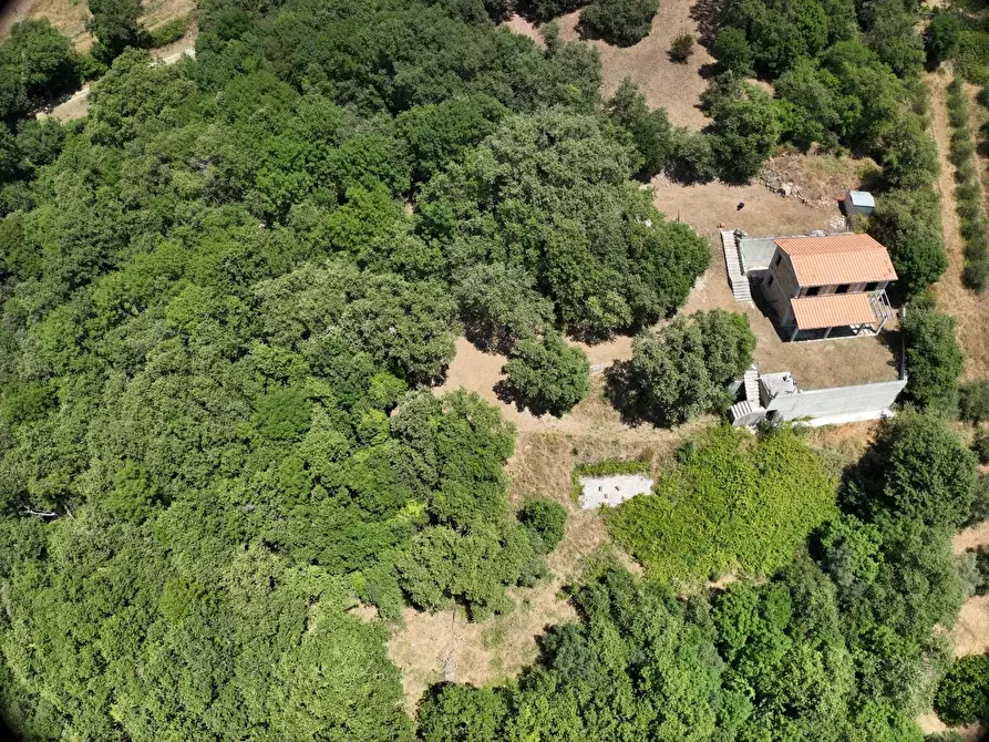 Immagine 12 di Villa in vendita  a Scansano