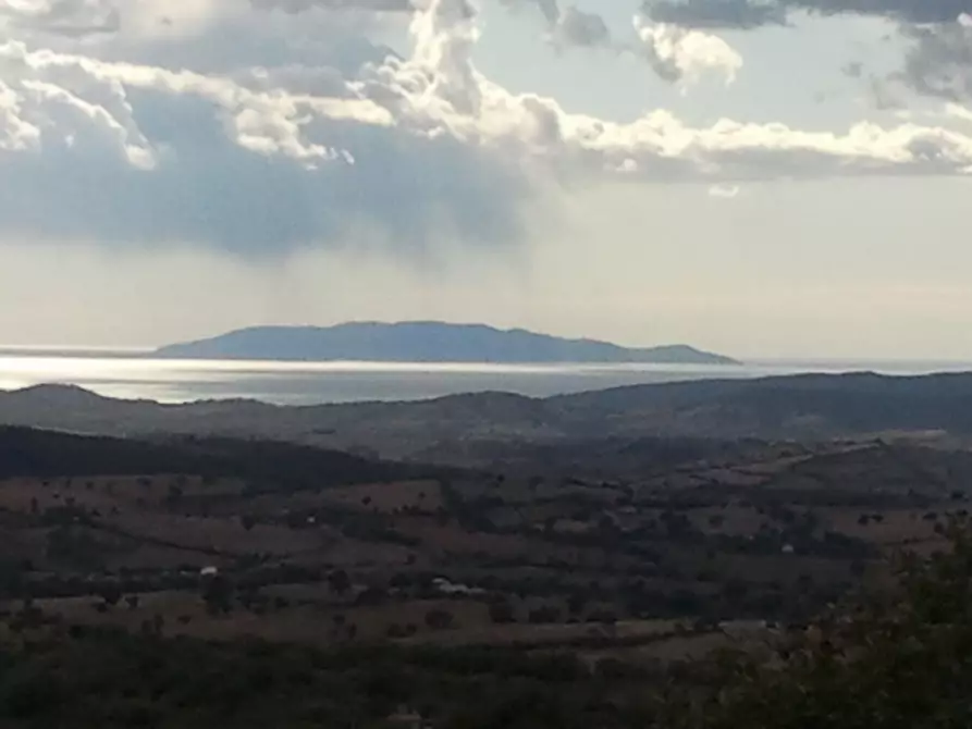 Immagine 5 di Villa in vendita  a Scansano