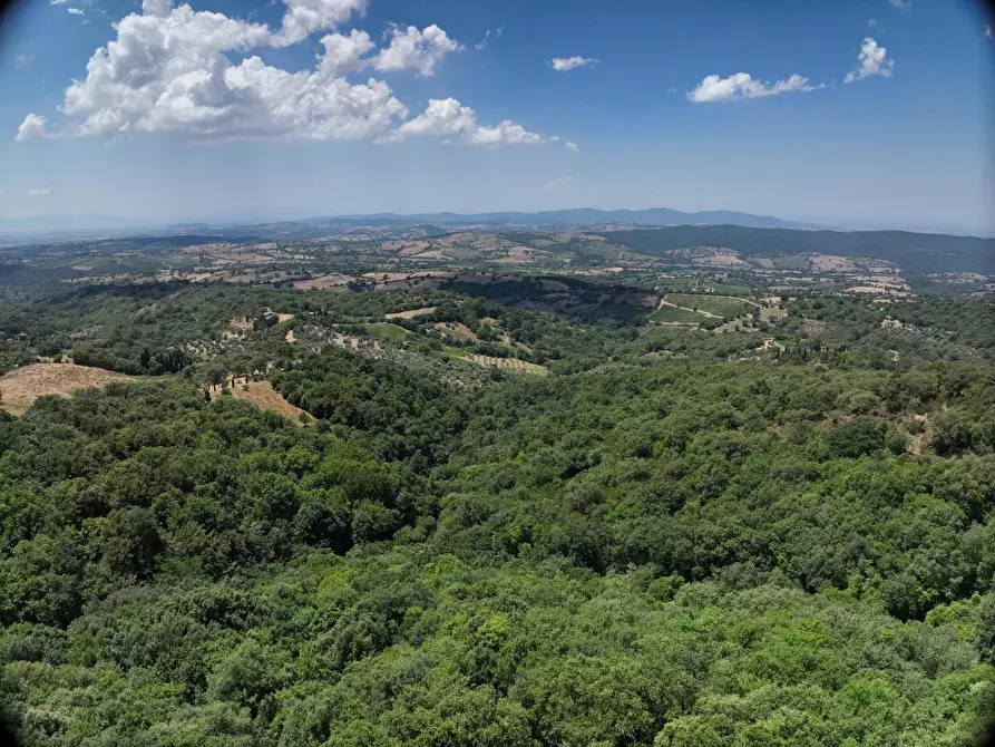 Immagine 11 di Villa in vendita  a Scansano