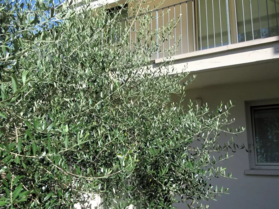 Immagine 19 di Villa in vendita  a Capraia E Limite