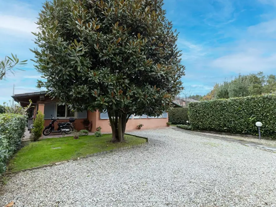 Immagine 2 di Villa in vendita  a Viareggio