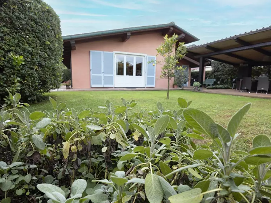 Immagine 11 di Villa in vendita  a Viareggio
