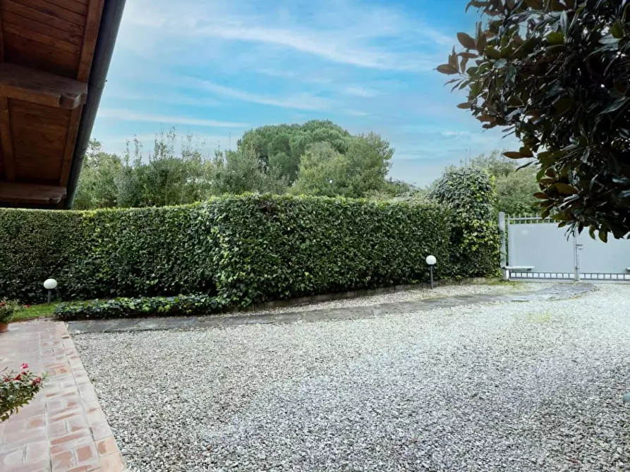 Immagine 3 di Villa in vendita  a Viareggio