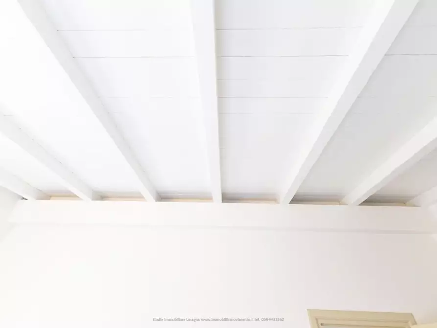 Immagine 67 di Villa in vendita  a Viareggio