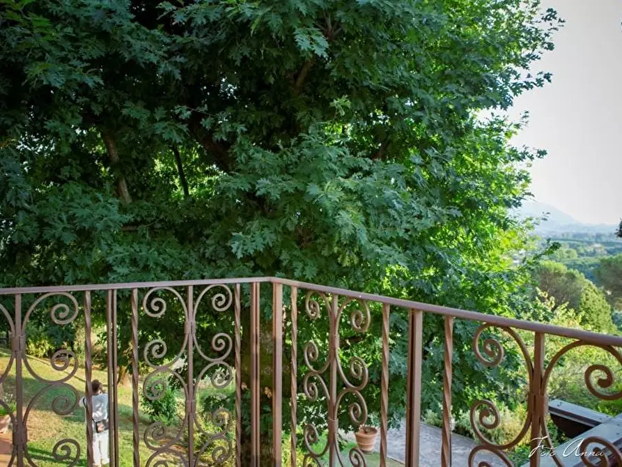 Immagine 45 di Villa in vendita  a Lucca