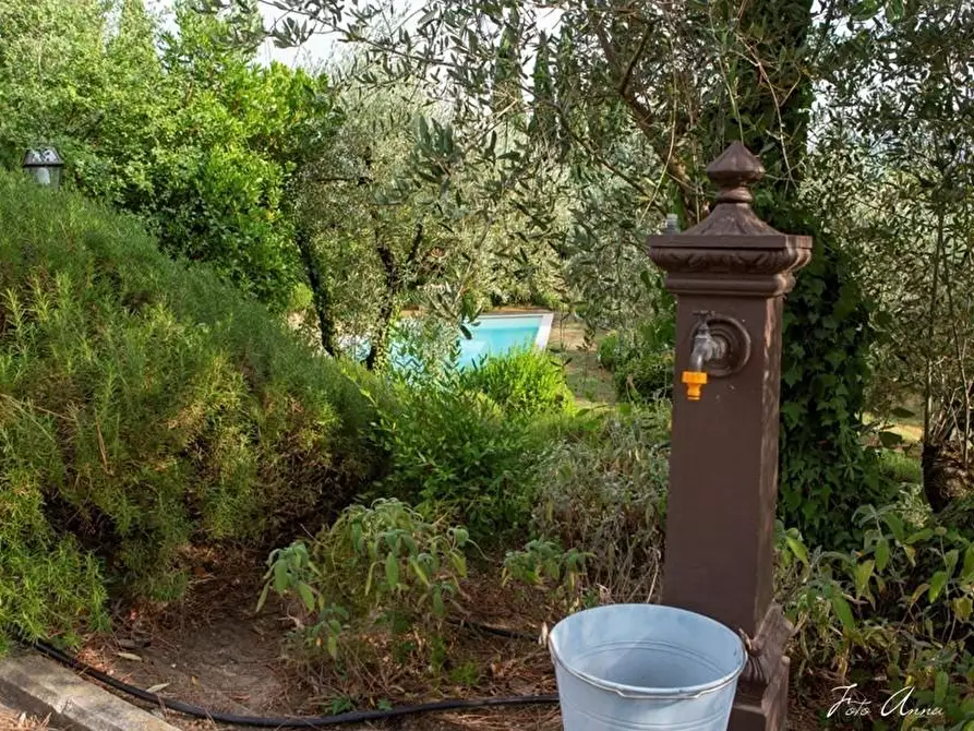 Immagine 14 di Villa in vendita  a Lucca