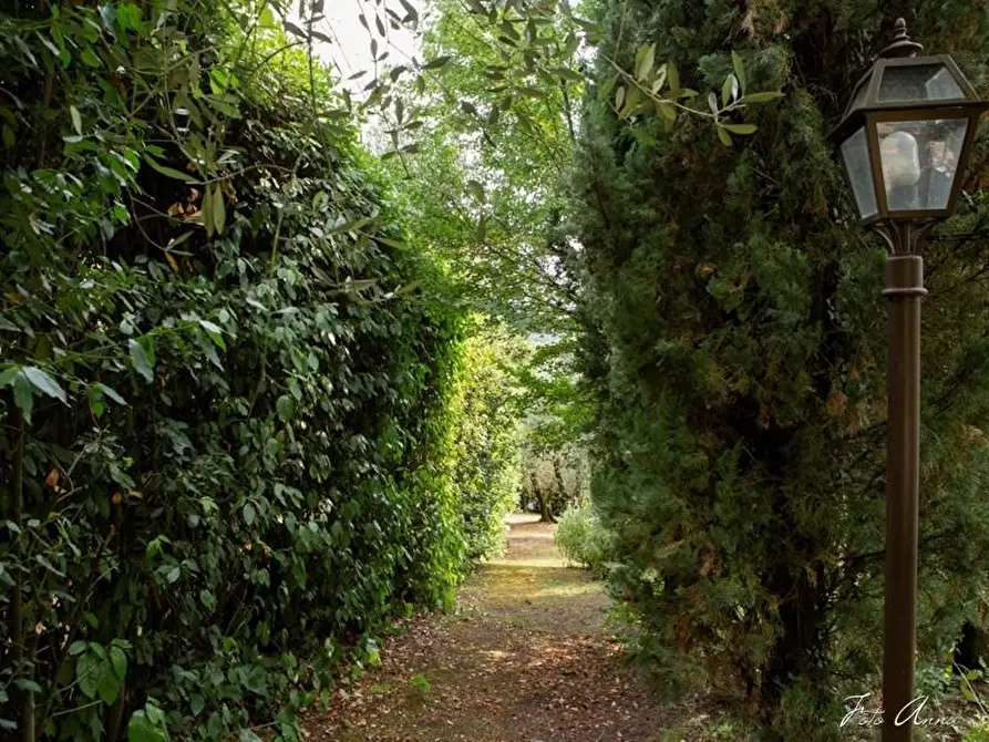 Immagine 8 di Villa in vendita  a Lucca
