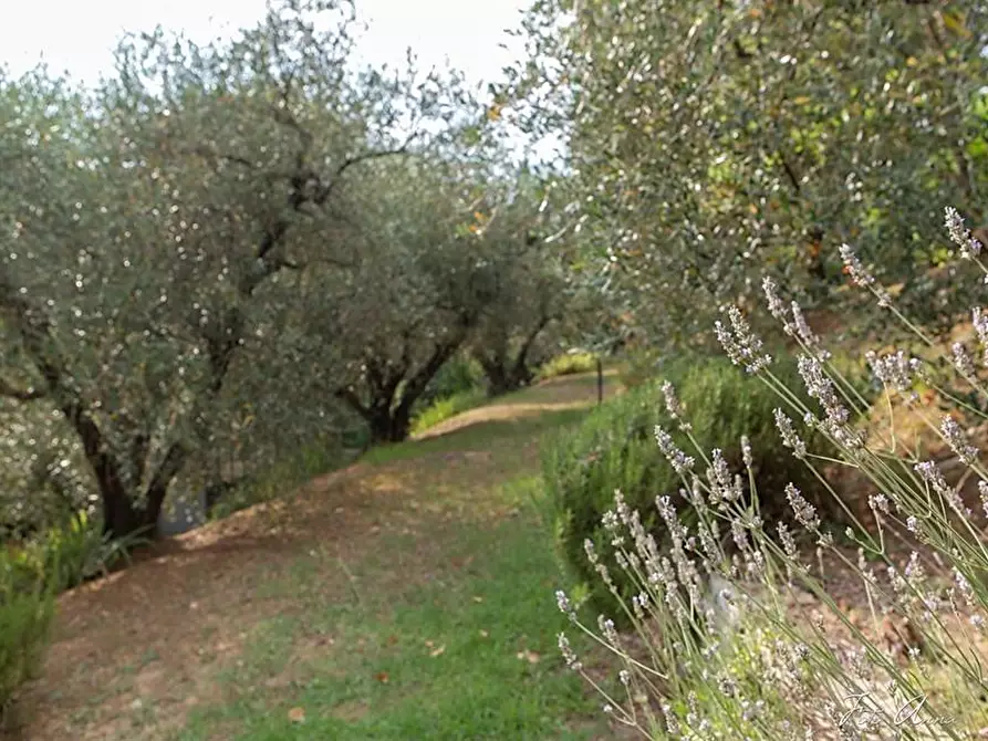 Immagine 10 di Villa in vendita  a Lucca