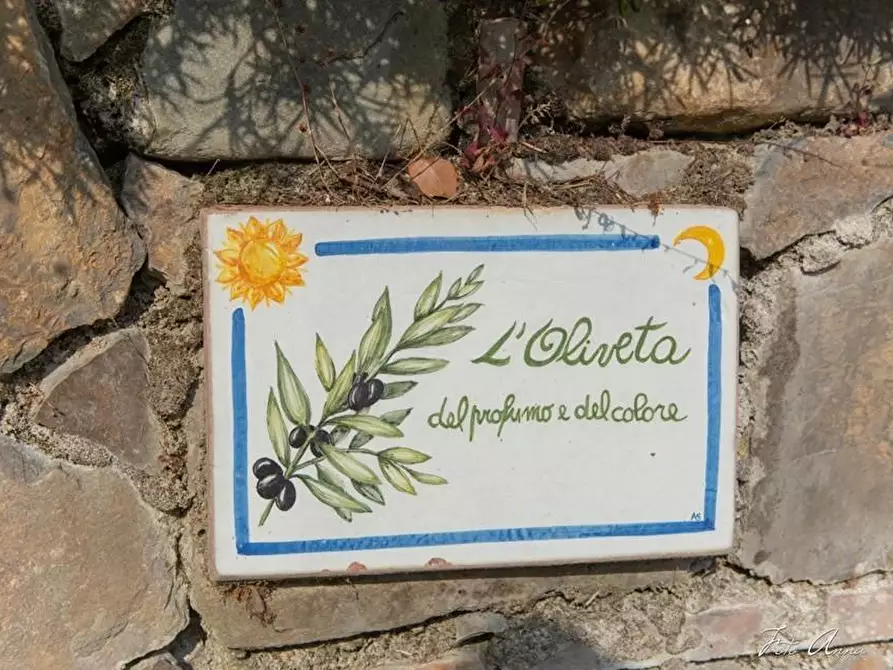 Immagine 9 di Villa in vendita  a Lucca