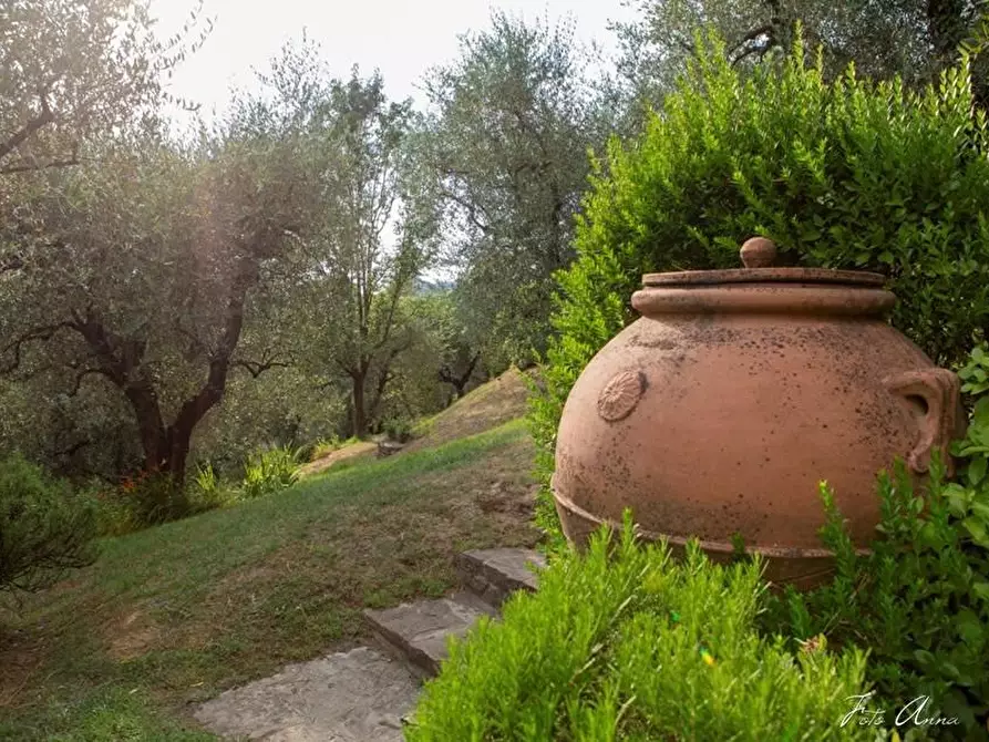 Immagine 12 di Villa in vendita  a Lucca