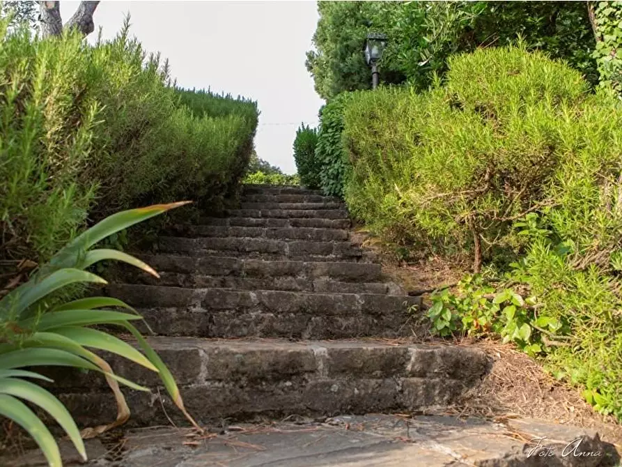 Immagine 13 di Villa in vendita  a Lucca