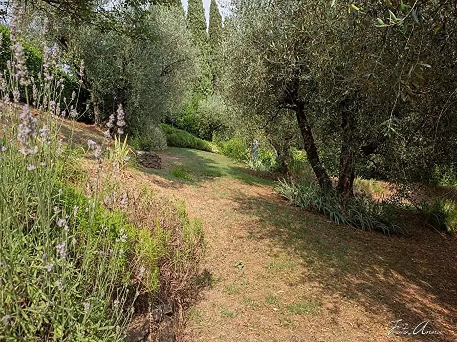 Immagine 11 di Villa in vendita  a Lucca