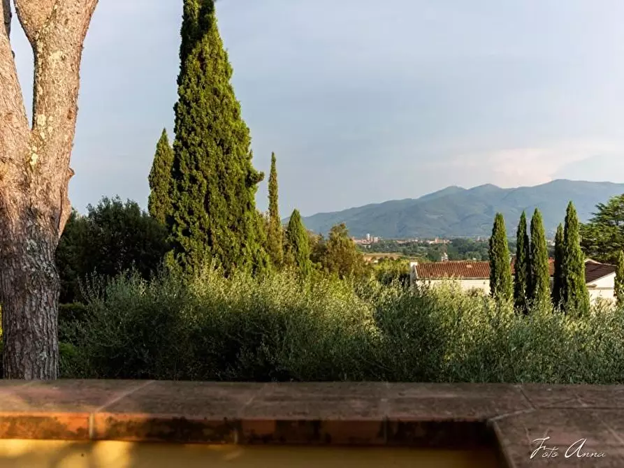 Immagine 37 di Villa in vendita  a Lucca