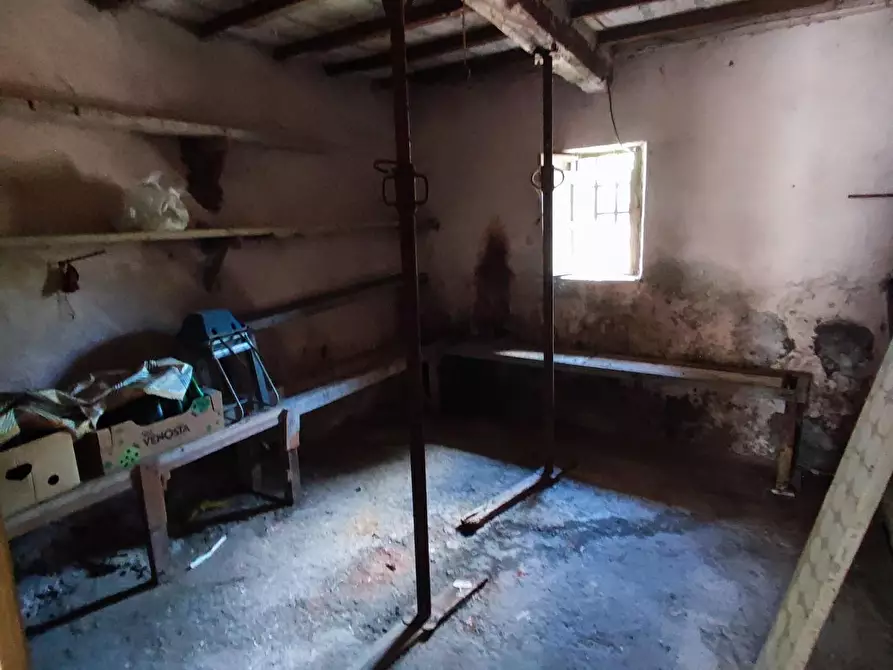 Immagine 9 di Terratetto in vendita  a Montignoso