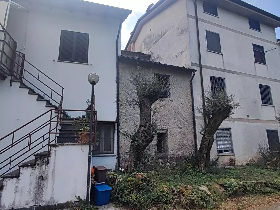 Immagine 2 di Terratetto in vendita  a Montignoso