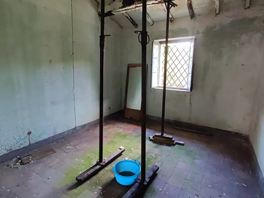 Immagine 7 di Terratetto in vendita  a Montignoso