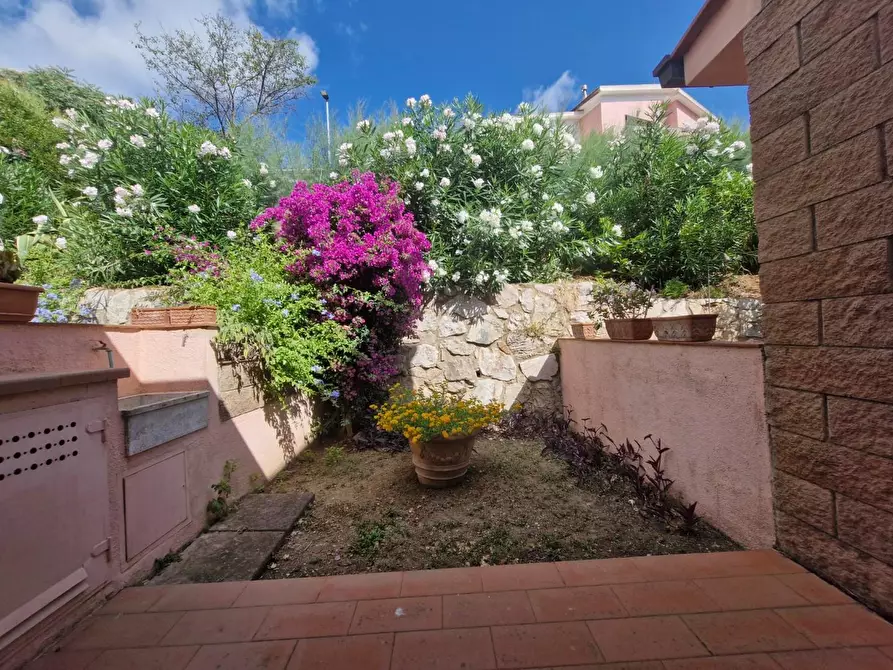 Immagine 17 di Appartamento in vendita  a Rio Marina