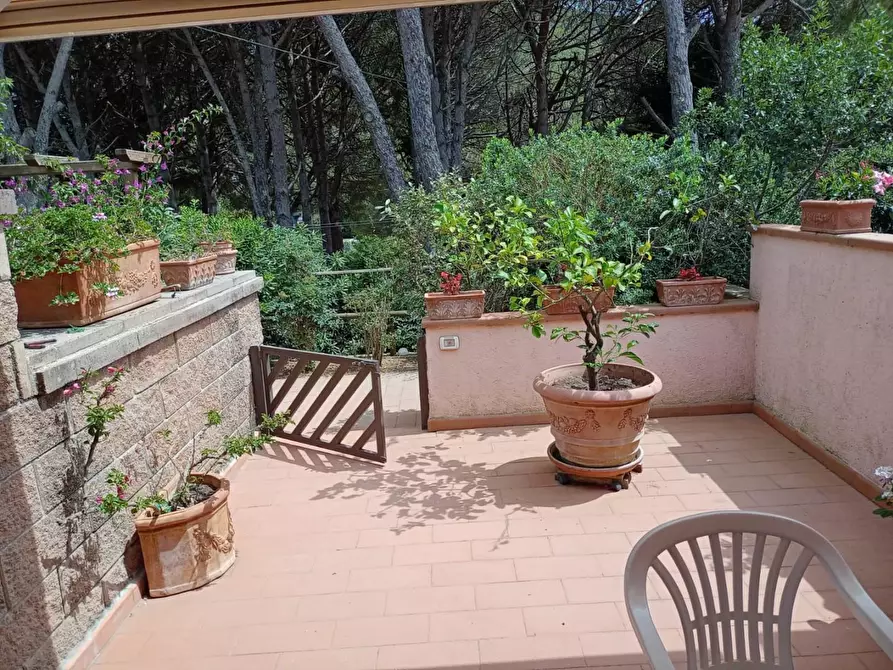 Immagine 2 di Appartamento in vendita  a Rio Marina