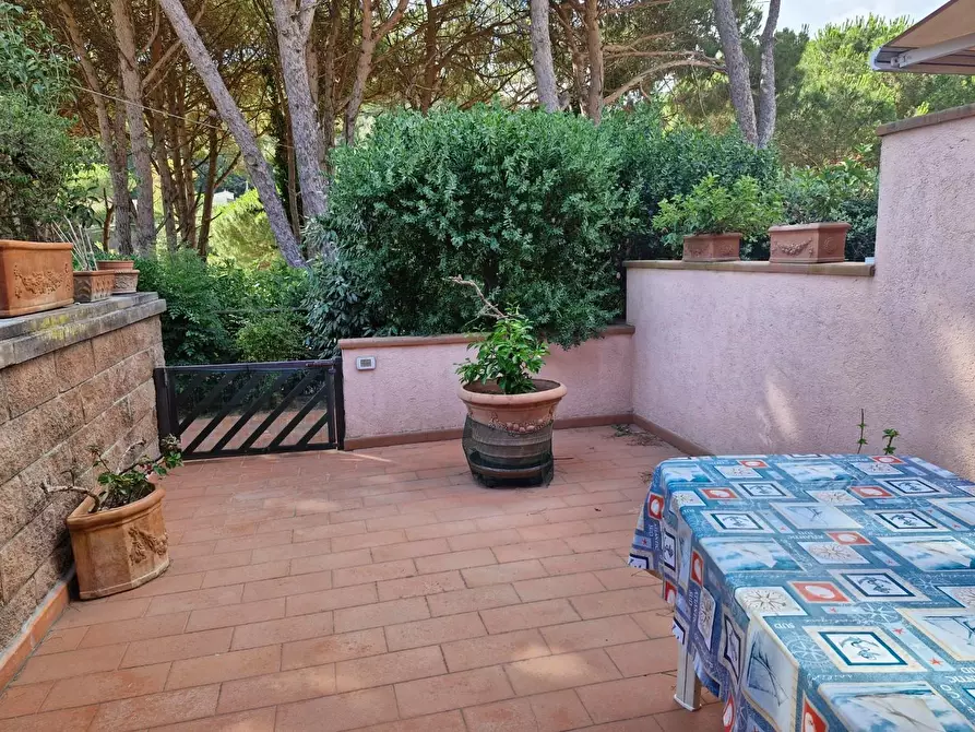 Immagine 4 di Appartamento in vendita  a Rio Marina