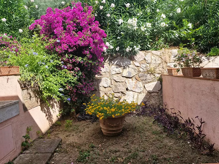 Immagine 18 di Appartamento in vendita  a Rio Marina