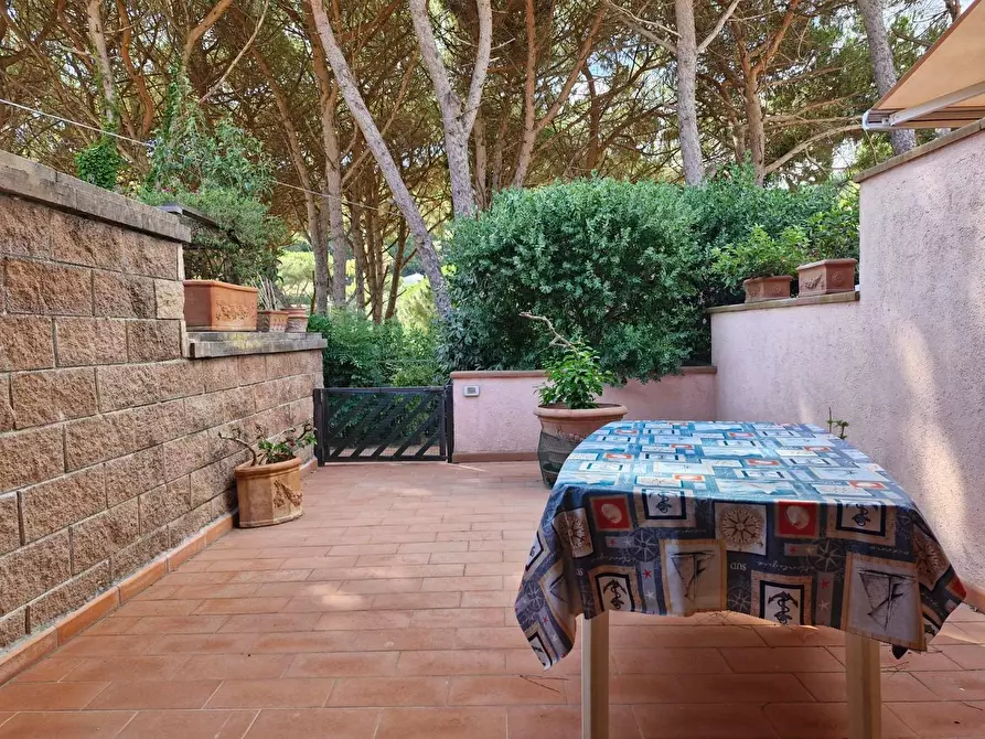 Immagine 3 di Appartamento in vendita  a Rio Marina