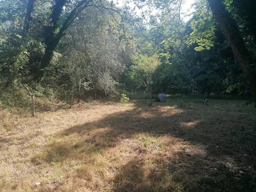 Immagine 5 di Appartamento in vendita  a Castelnuovo Magra