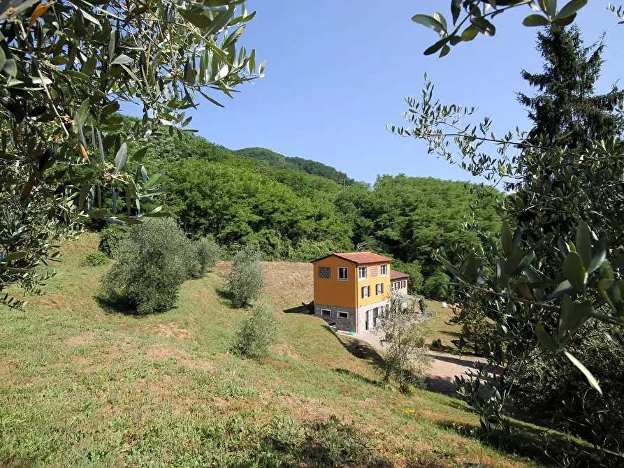Immagine 11 di Rustico / casale in vendita  a Capannori
