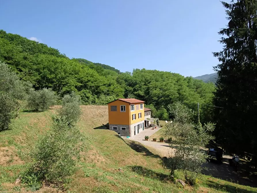 Immagine 10 di Rustico / casale in vendita  a Capannori
