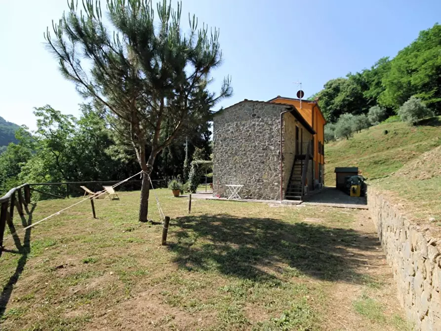 Immagine 8 di Rustico / casale in vendita  a Capannori