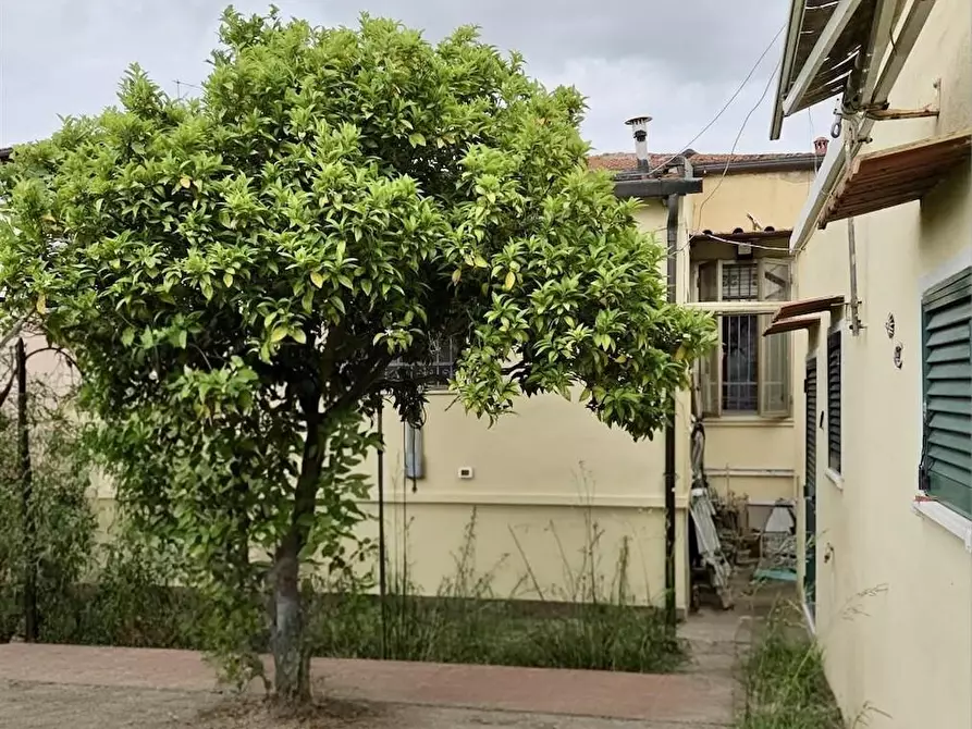Immagine 2 di Villa in vendita  a Pisa