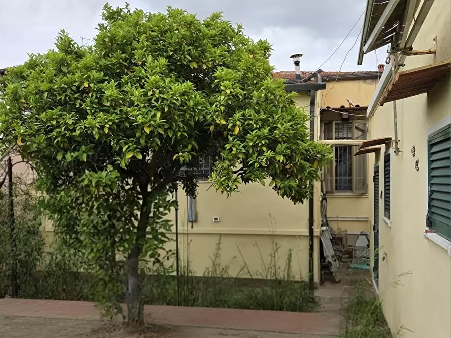 Immagine 17 di Villa in vendita  a Pisa