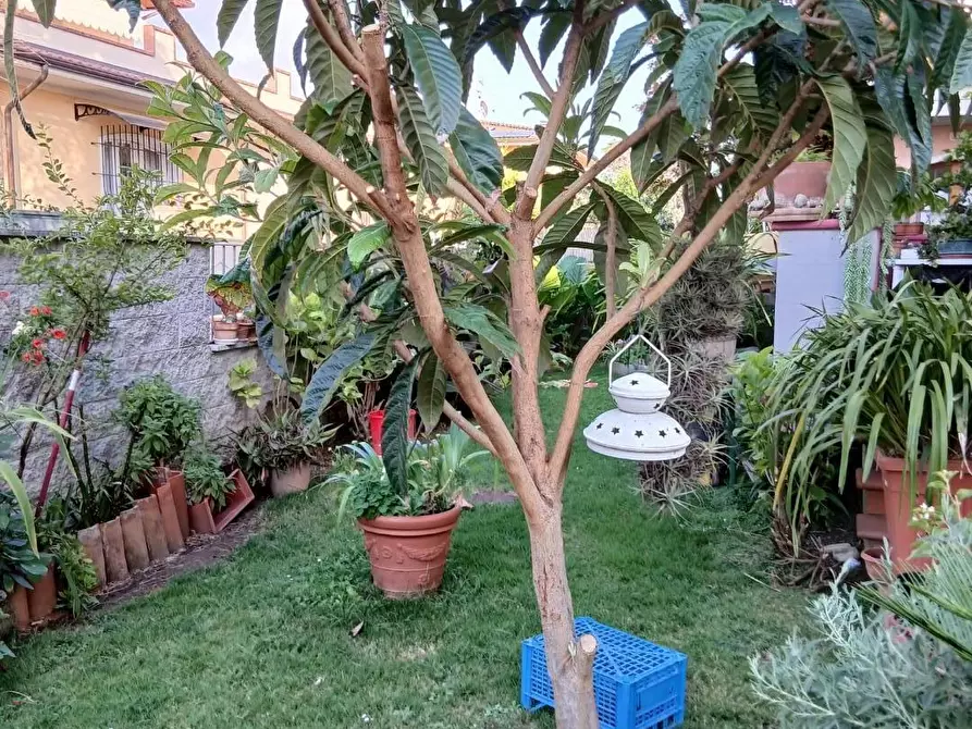 Immagine 3 di Casa trifamiliare in vendita  a Massa