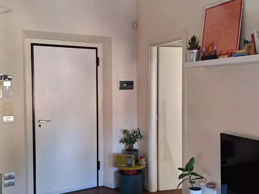 Immagine 16 di Appartamento in affitto  a Livorno