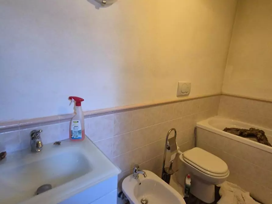 Immagine 11 di Appartamento in vendita  a Piombino