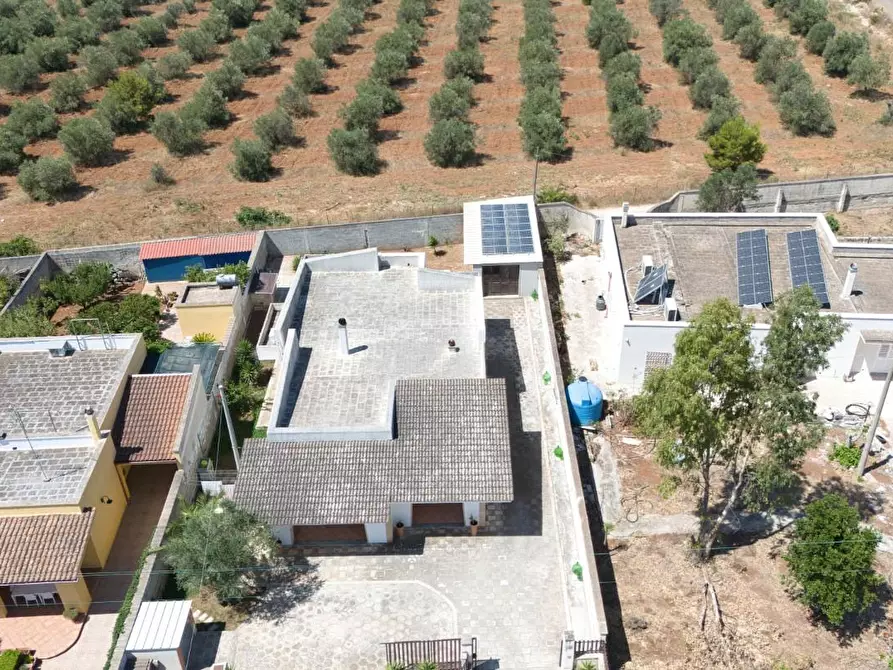 Immagine 3 di Villa in vendita  a Nardo'