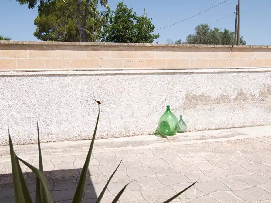 Immagine 40 di Villa in vendita  a Nardo'