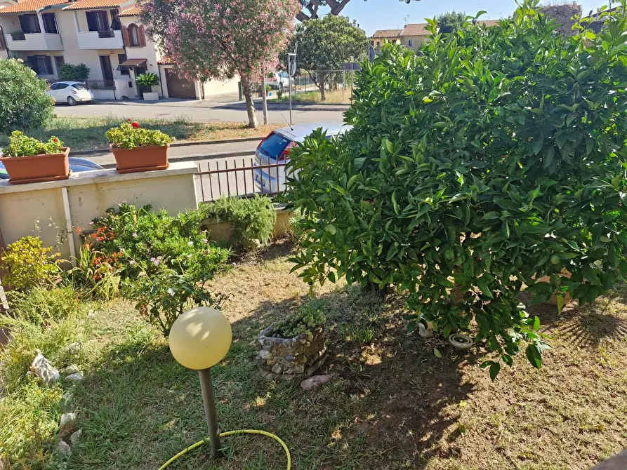 Immagine 10 di Appartamento in vendita  a Campiglia Marittima