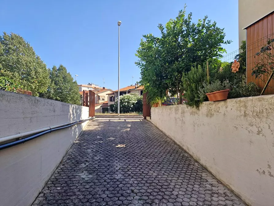 Immagine 31 di Appartamento in vendita  a Campiglia Marittima