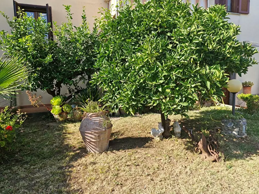 Immagine 36 di Appartamento in vendita  a Campiglia Marittima