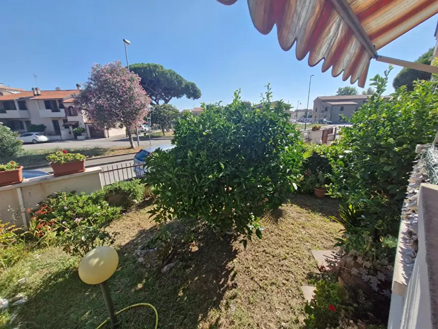 Immagine 11 di Appartamento in vendita  a Campiglia Marittima