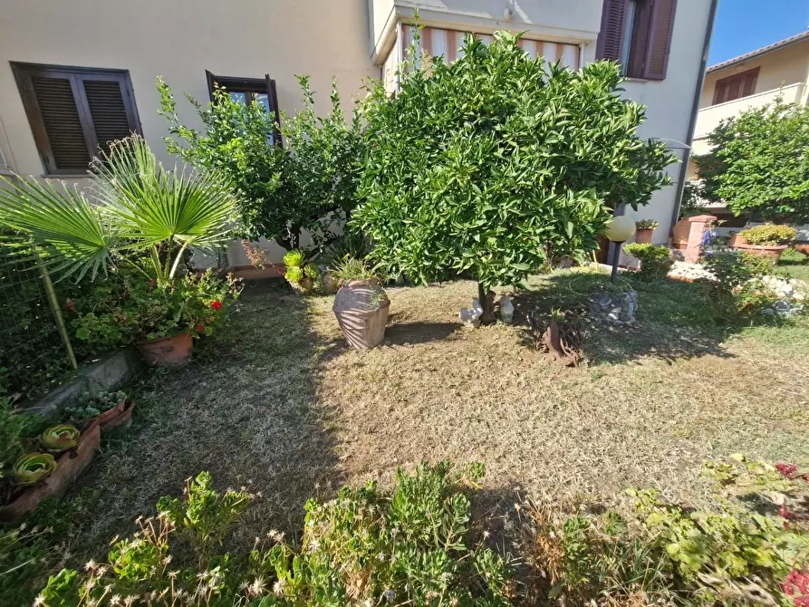 Immagine 37 di Appartamento in vendita  a Campiglia Marittima