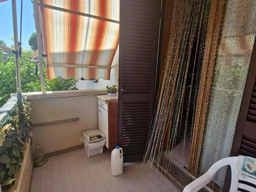 Immagine 8 di Appartamento in vendita  a Campiglia Marittima