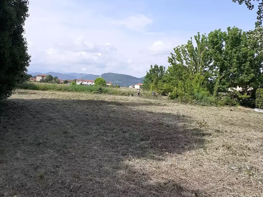 Immagine 2 di Terreno agricolo in vendita  a San Giuliano Terme