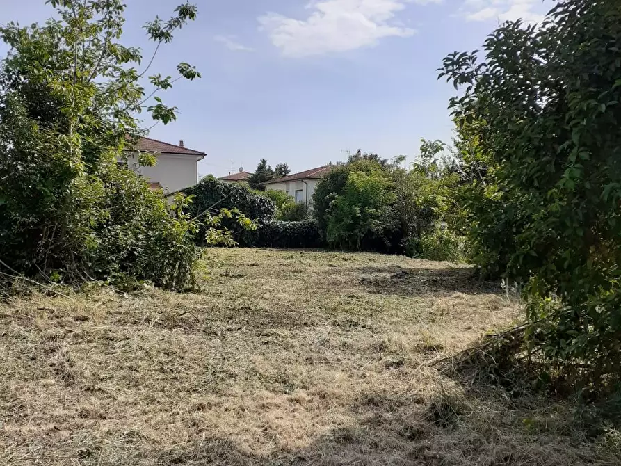 Immagine 1 di Terreno agricolo in vendita  a San Giuliano Terme