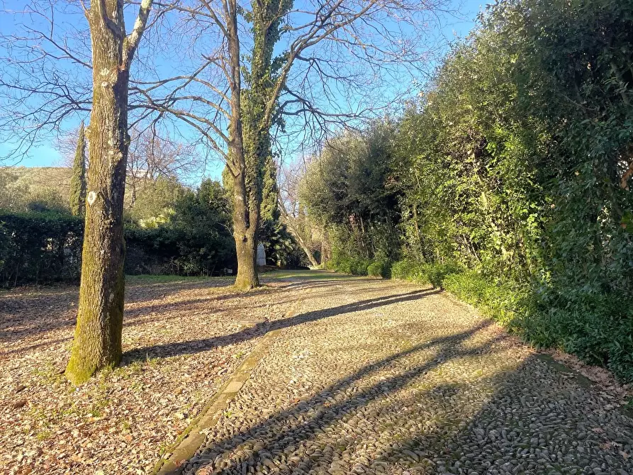 Immagine 61 di Villa in vendita  a Capannori