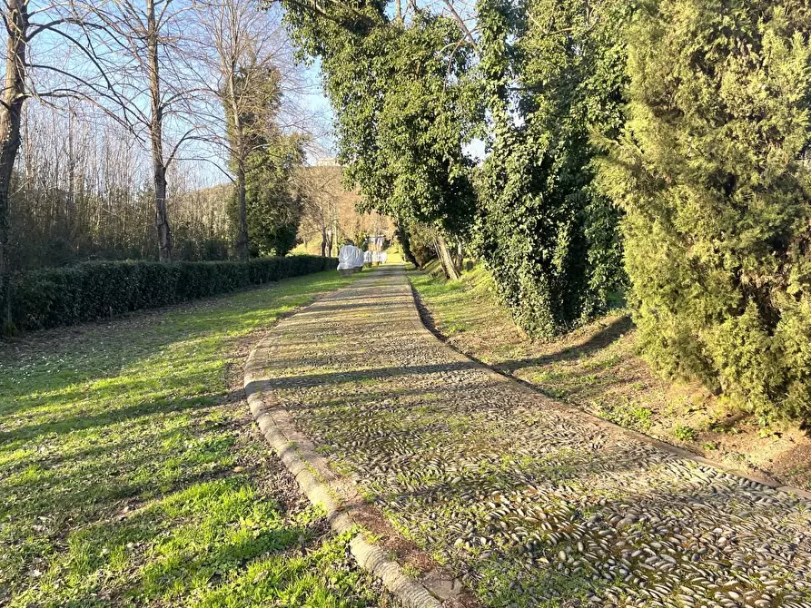 Immagine 65 di Villa in vendita  a Capannori