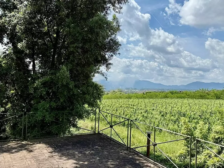 Immagine 53 di Villa in vendita  a Capannori